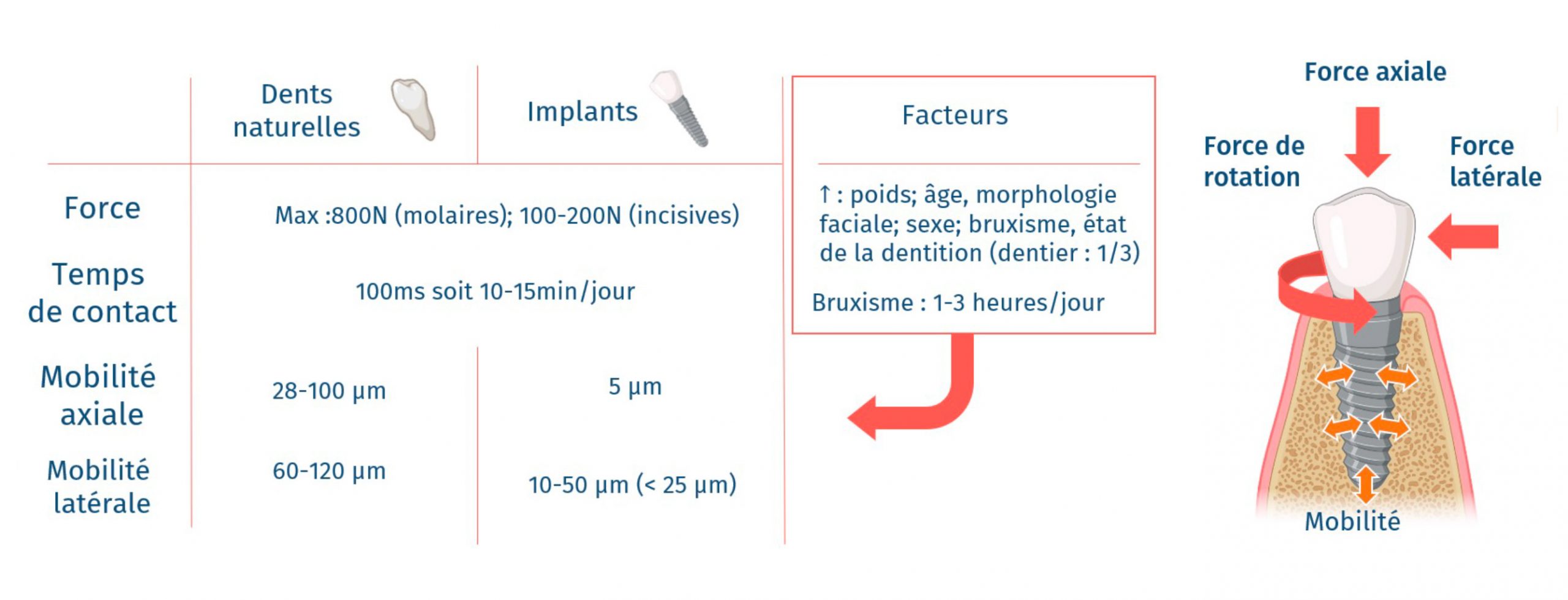 implants-vs-dents-naturelles