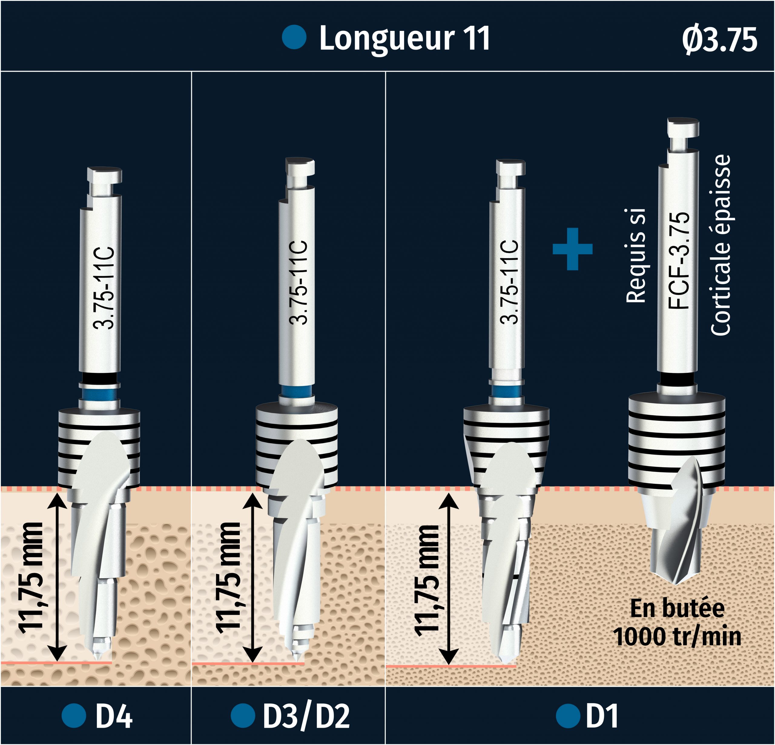 PROTOCOLE--FRACTAL-L11