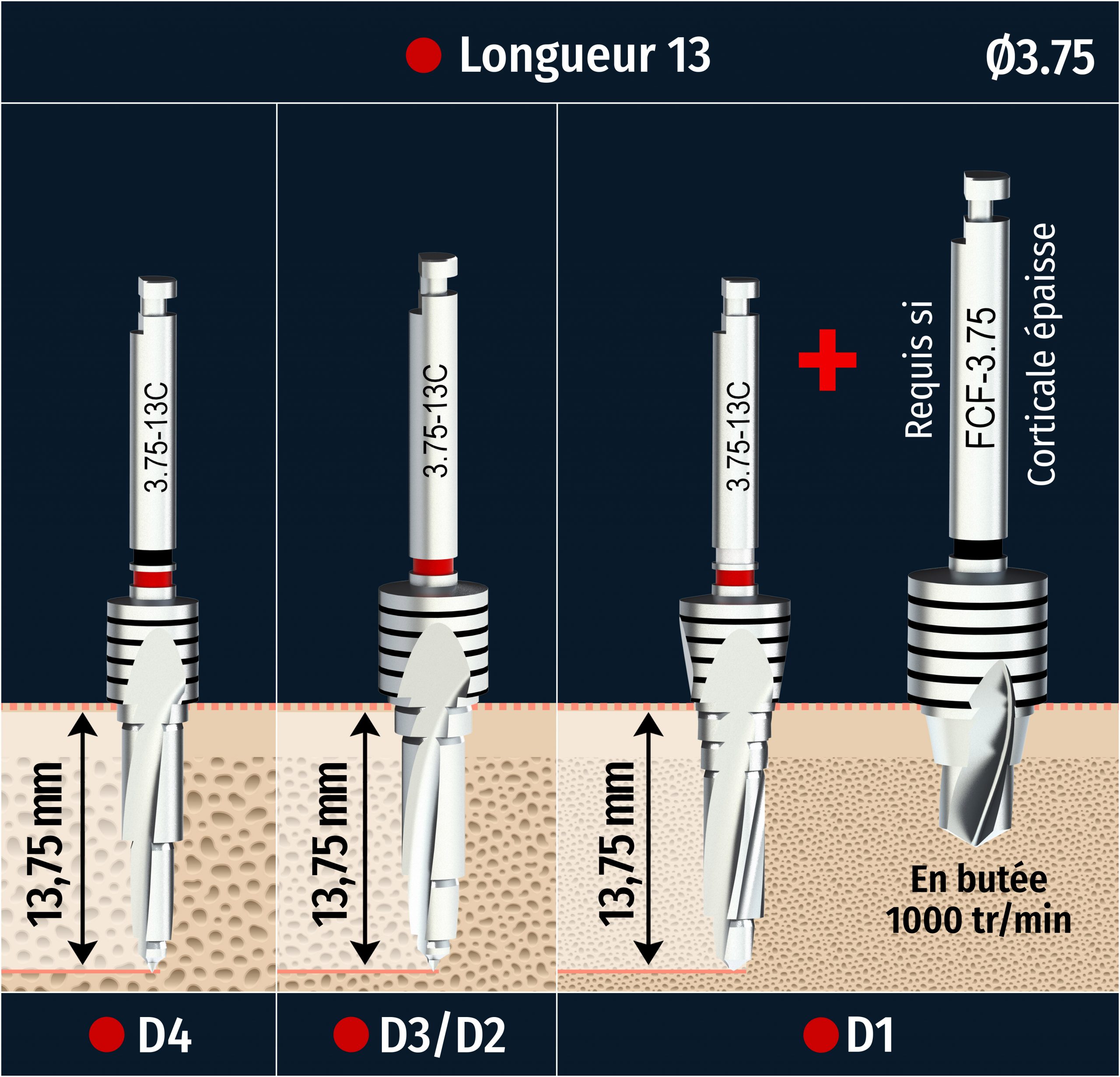 PROTOCOLE--FRACTAL-L13
