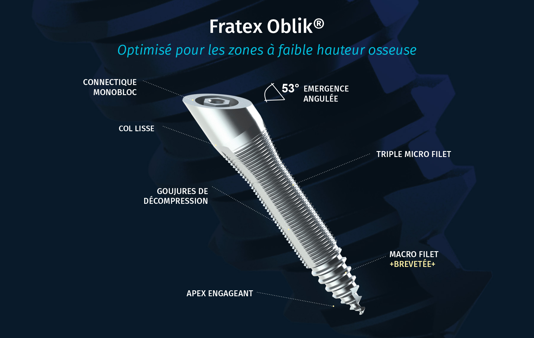 fond-fratex-oblik fond-fratex-oblik