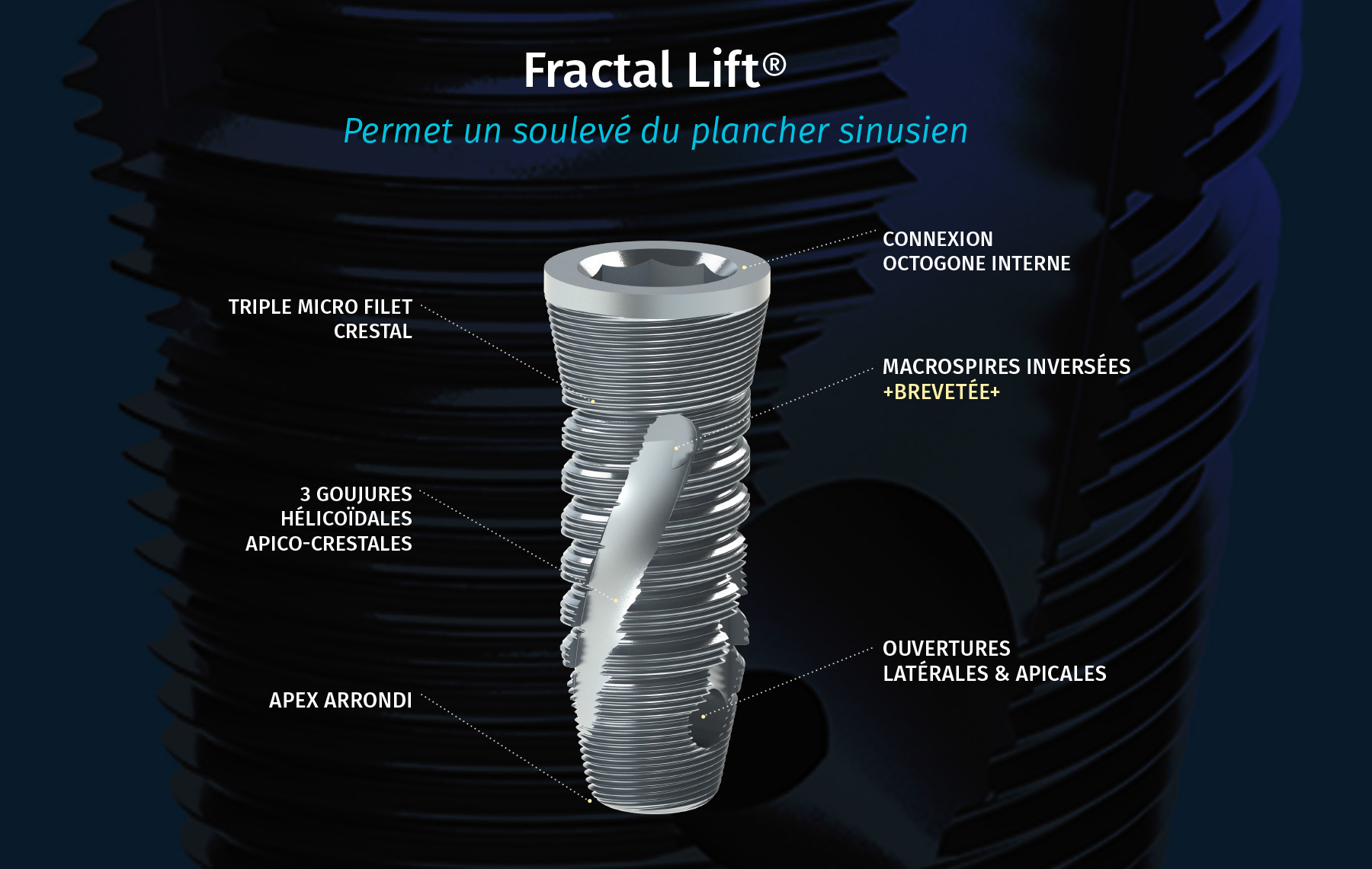 victory-fractal-lift
