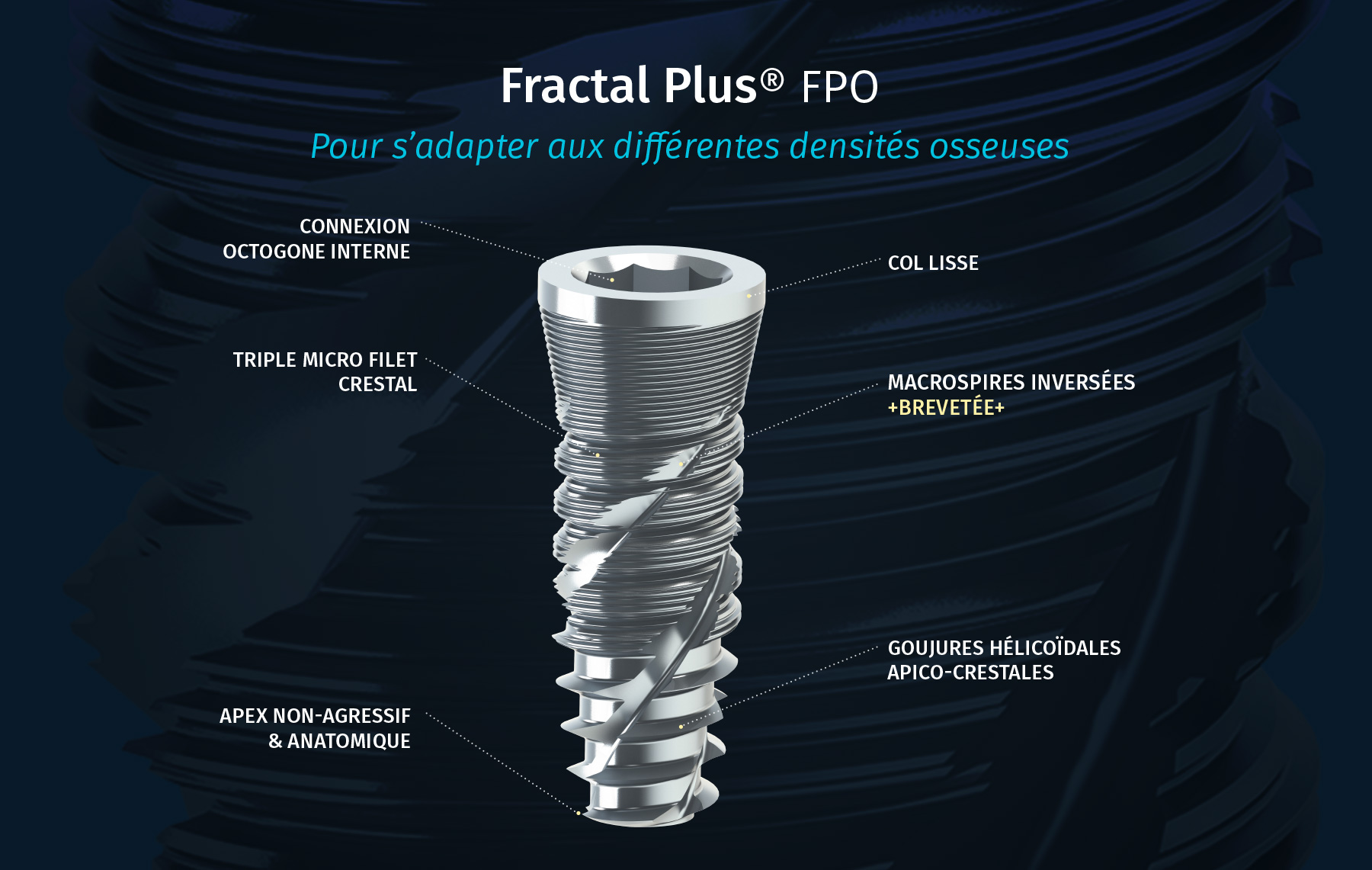 victory-fractal-plus victory-fractal-plus