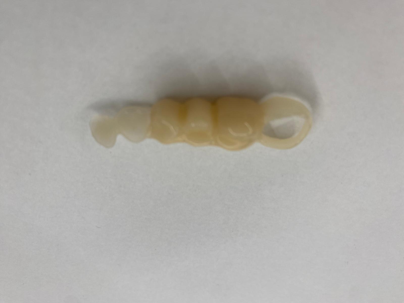 WhatsApp Image 2025-10-13 at 08.46.56 (2)